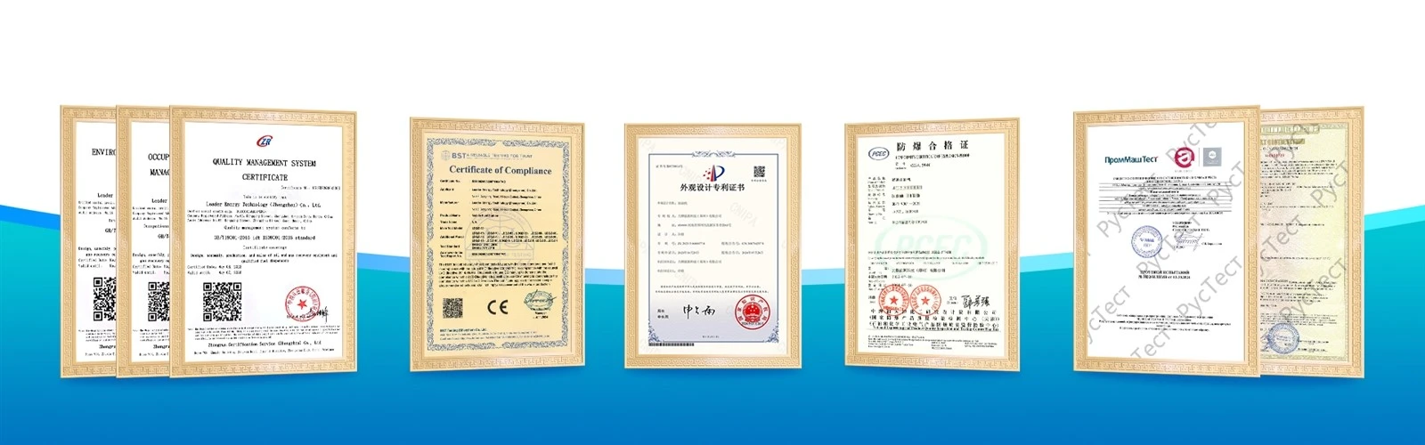 Leader Energy Certificate